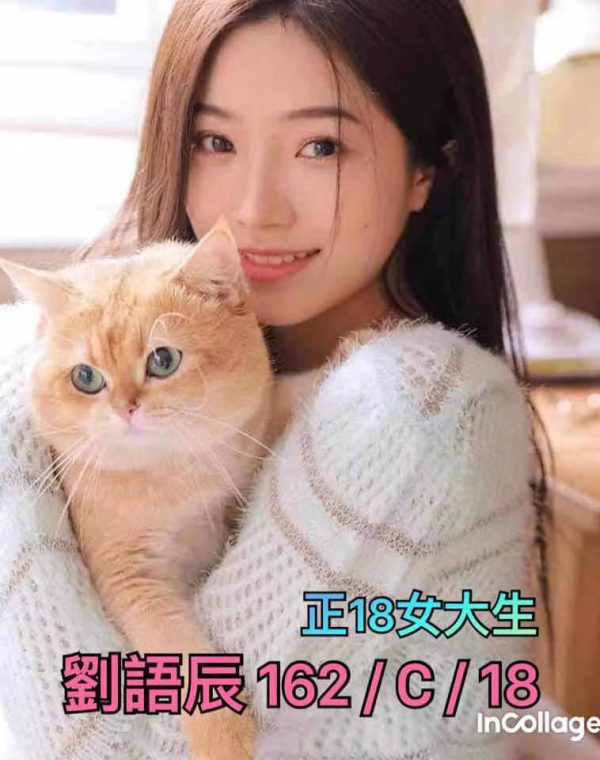 劉語辰