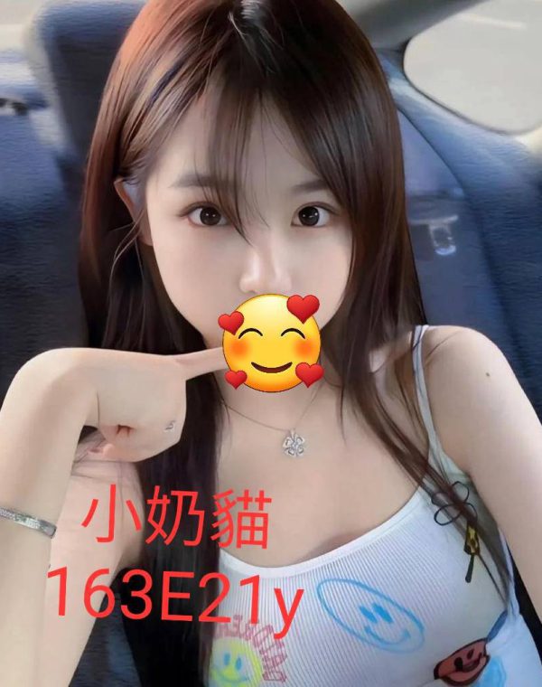 小奶貓