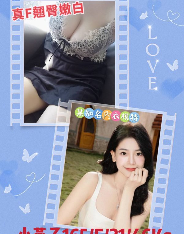 小燕子