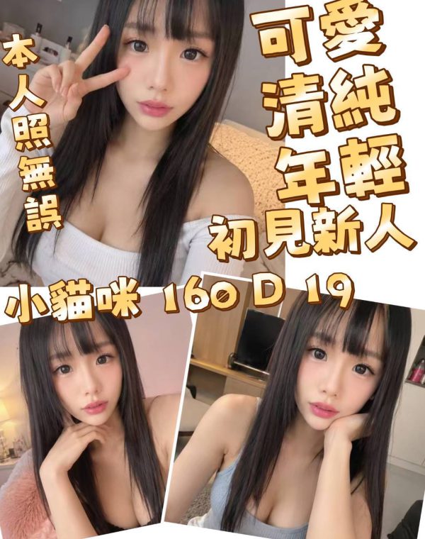 小貓咪