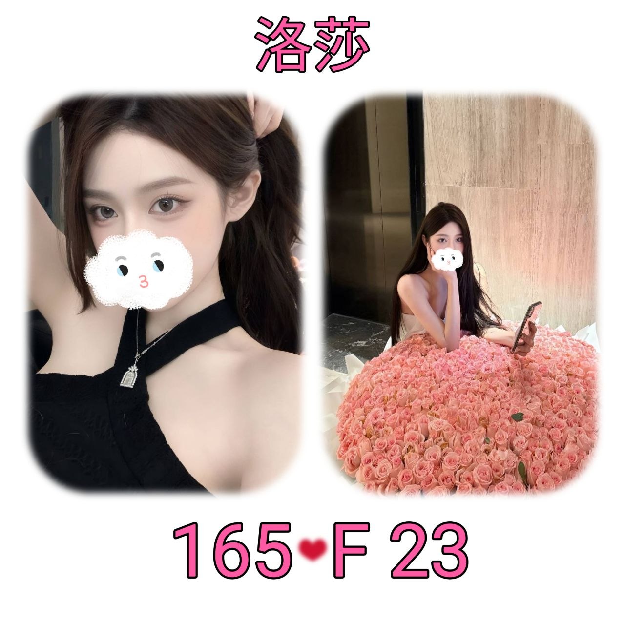 地區:台北 暱稱:洛莎