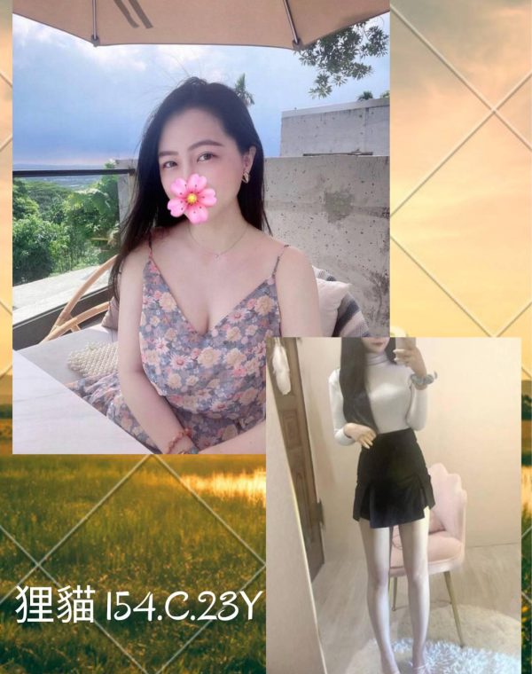狸貓