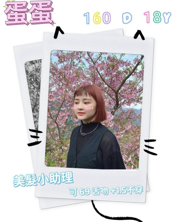 蛋蛋