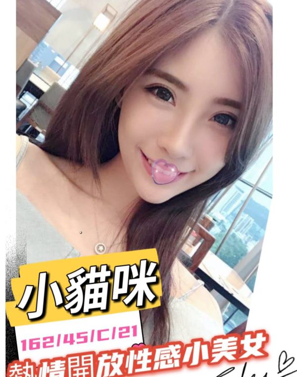 貓咪