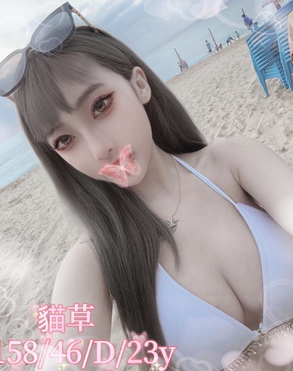 貓草