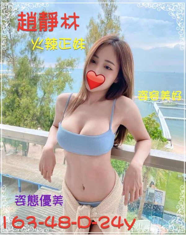 趙靜林